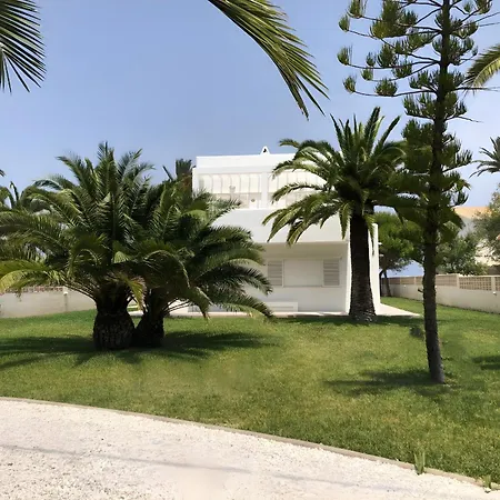 The Is Your Garden * دينايا